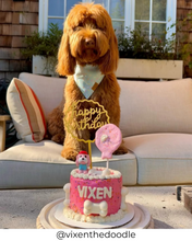 Load image into Gallery viewer, Gourmet Pup Pawty 4 Inch Birthday Cake