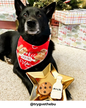 Load image into Gallery viewer, Cookies N' Milk Gourmet Dog Cookie Box