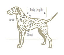 Load image into Gallery viewer, Birthday Boy Doggy Polo Shirt