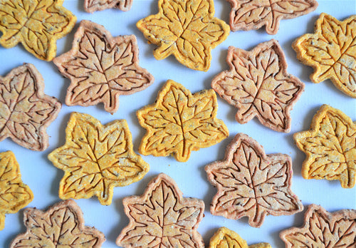Autumn Leaves Gourmet Biscuits