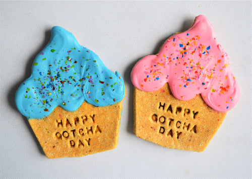 Birthday Collection, Gluten-Free, Gotcha Day Cupcake, 8/case (Wholesale)