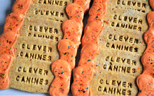 Load image into Gallery viewer, Personalized Gourmet Frosted Bones (One Dozen Dog Treat Favors)
