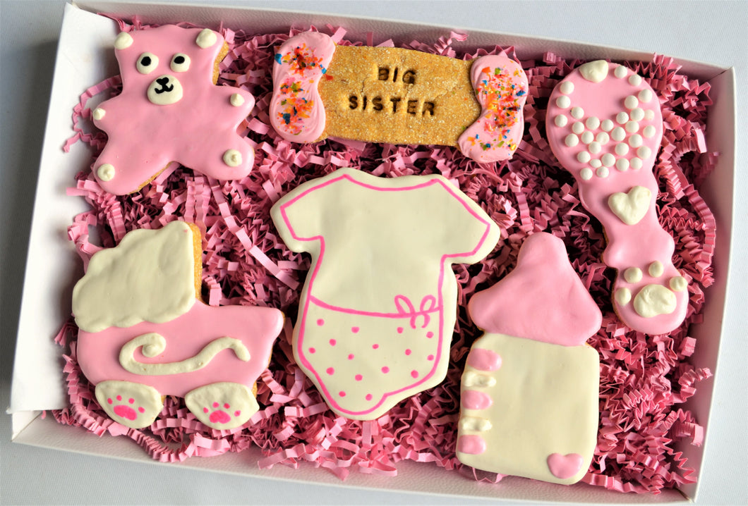 Big Sister Gourmet Baby Shower Dog Treat Box