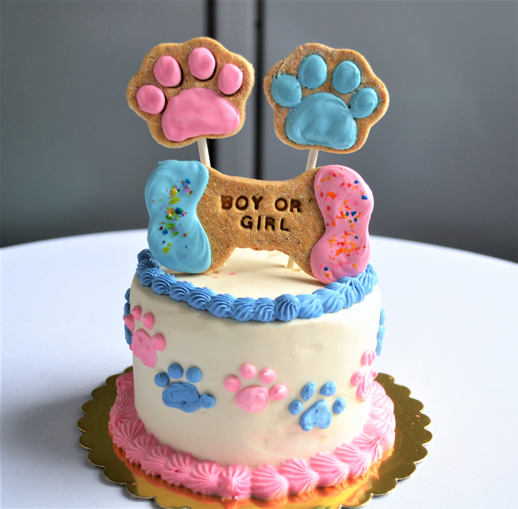 Gourmet 4 Inch Gender Reveal Doggy Cake