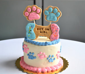 Gourmet 4 Inch Gender Reveal Doggy Cake