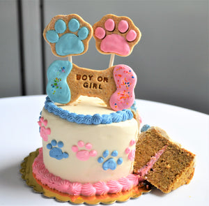 Gourmet 4 Inch Gender Reveal Doggy Cake