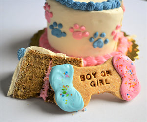 Gourmet 4 Inch Gender Reveal Doggy Cake