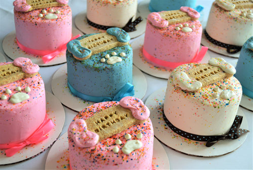 Birthday Collection, Classic 4 Inch Doggy Cake (Wholesale)
