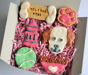 Welcome Home Gourmet Cookie Box