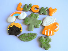 Load image into Gallery viewer, St. Patrick&#39;s Day Gourmet Dog Treat Box